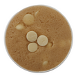 White chocolate chip cookie dough (0,5L)